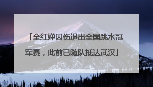 全红婵因伤退出全国跳水冠军赛，此前已随队抵达武汉