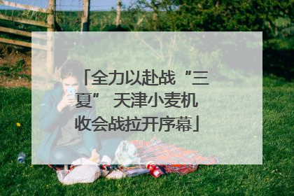 全力以赴战“三夏” 天津小麦机收会战拉开序幕
