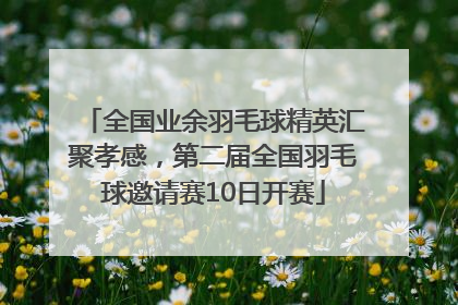 全国业余羽毛球精英汇聚孝感，第二届全国羽毛球邀请赛10日开赛