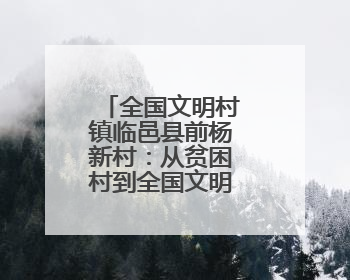 全国文明村镇临邑县前杨新村：从贫困村到全国文明村华丽蜕变