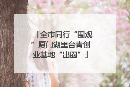 全市同行“围观”厦门湖里台青创业基地“出圈”