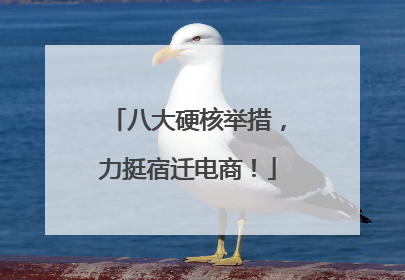 八大硬核举措，力挺宿迁电商！