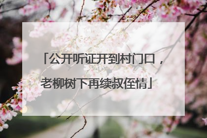 公开听证开到村门口，老柳树下再续叔侄情
