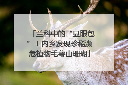 兰科中的“显眼包”！内乡发现珍稀濒危植物毛萼山珊瑚