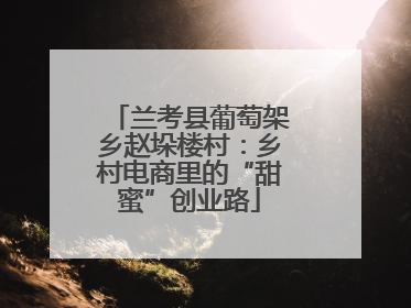 兰考县葡萄架乡赵垛楼村：乡村电商里的“甜蜜”创业路