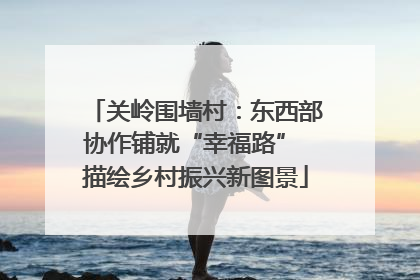 关岭围墙村：东西部协作铺就“幸福路” 描绘乡村振兴新图景