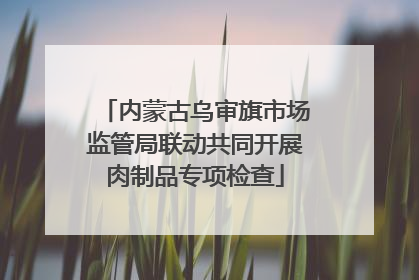 内蒙古乌审旗市场监管局联动共同开展肉制品专项检查