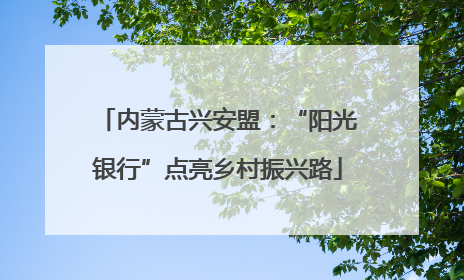 内蒙古兴安盟：“阳光银行”点亮乡村振兴路