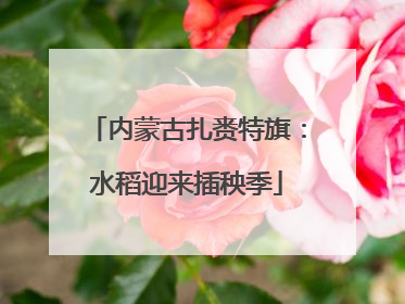 内蒙古扎赉特旗：水稻迎来插秧季