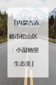 内蒙古赤峰市松山区：小湿地里生态美