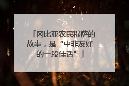 冈比亚农民穆萨的故事，是“中非友好的一段佳话”