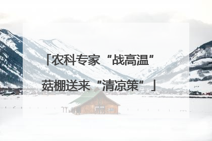 农科专家“战高温” 菇棚送来“清凉策”
