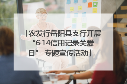 农发行岳阳县支行开展“6·14信用记录关爱日” 专题宣传活动