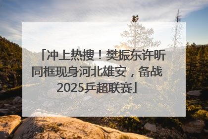 冲上热搜！樊振东许昕同框现身河北雄安，备战2025乒超联赛