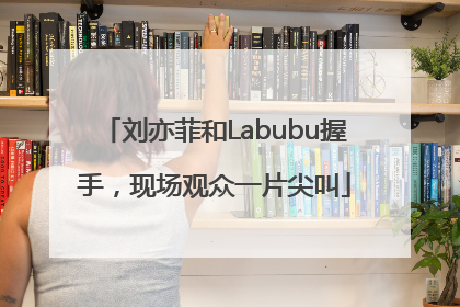 刘亦菲和Labubu握手，现场观众一片尖叫