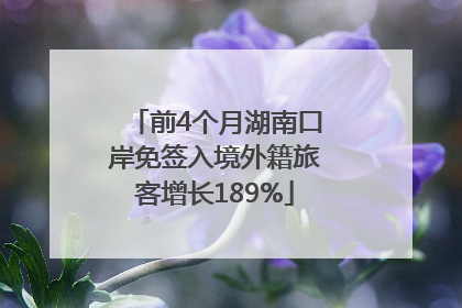 前4个月湖南口岸免签入境外籍旅客增长189%