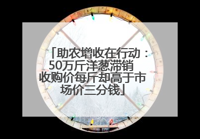 助农增收在行动：50万斤洋葱滞销 收购价每斤却高于市场价三分钱