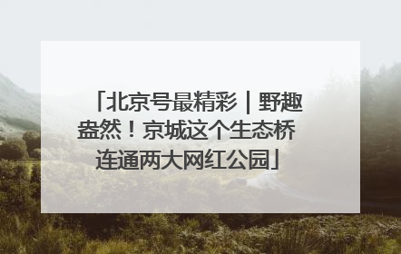 北京号最精彩｜野趣盎然！京城这个生态桥连通两大网红公园