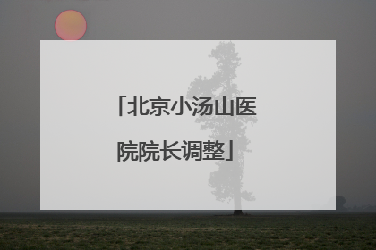 北京小汤山医院院长调整