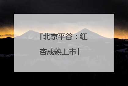 北京平谷：红杏成熟上市