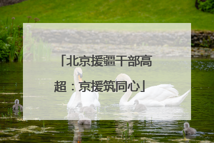 北京援疆干部高超：京援筑同心