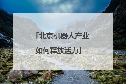 北京机器人产业如何释放活力