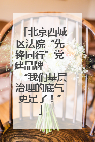 北京西城区法院“先锋同行”党建品牌——“我们基层治理的底气更足了！”