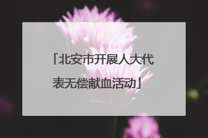 北安市开展人大代表无偿献血活动
