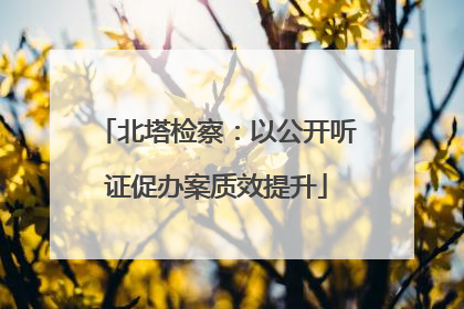 北塔检察：以公开听证促办案质效提升