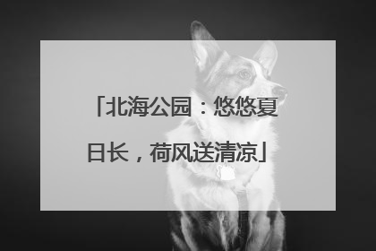 北海公园：悠悠夏日长，荷风送清凉