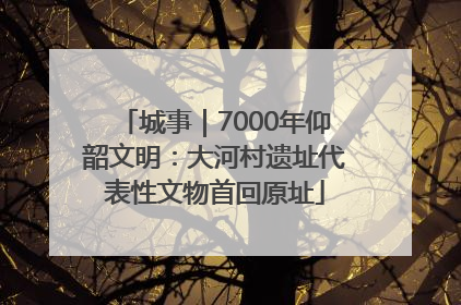 城事｜7000年仰韶文明：大河村遗址代表性文物首回原址