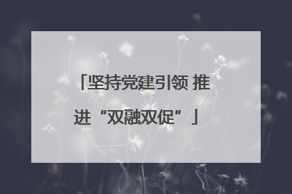 坚持党建引领 推进“双融双促”