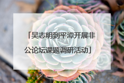 吴志明到平潭开展非公论坛课题调研活动