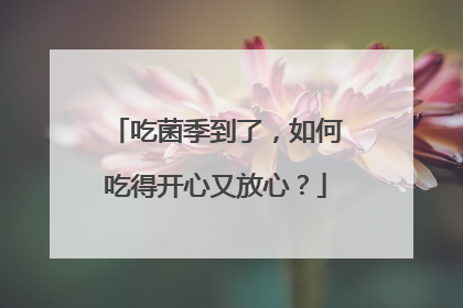 吃菌季到了，如何吃得开心又放心？