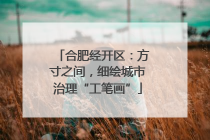 合肥经开区：方寸之间，细绘城市治理“工笔画”