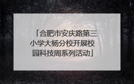 合肥市安庆路第三小学大杨分校开展校园科技周系列活动