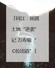同江：闲置土地“逆袭”记 万寿菊“C位出道”