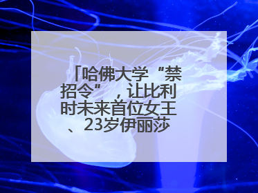 哈佛大学“禁招令”，让比利时未来首位女王、23岁伊丽莎白公主难毕业