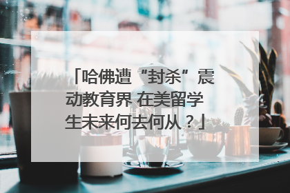哈佛遭“封杀”震动教育界 在美留学生未来何去何从？