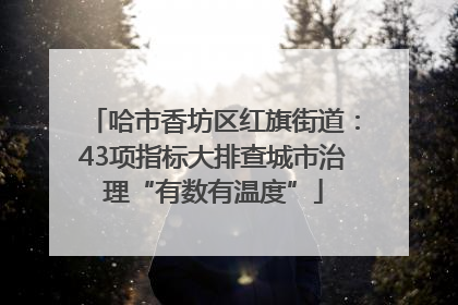 哈市香坊区红旗街道：43项指标大排查城市治理“有数有温度”
