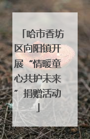 哈市香坊区向阳镇开展“情暖童心共护未来”捐赠活动
