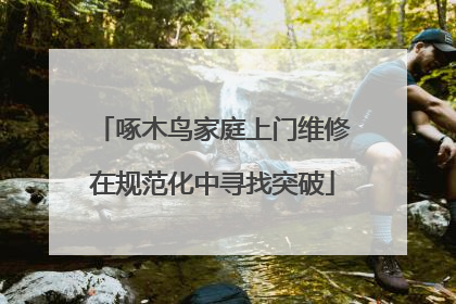 啄木鸟家庭上门维修在规范化中寻找突破