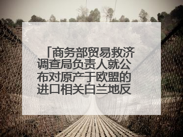 商务部贸易救济调查局负责人就公布对原产于欧盟的进口相关白兰地反倾销调查最终裁定答记者问