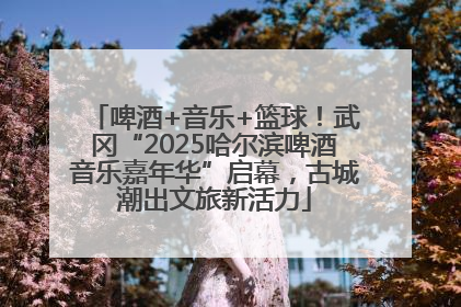 啤酒+音乐+篮球！武冈“2025哈尔滨啤酒音乐嘉年华”启幕，古城潮出文旅新活力