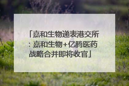 嘉和生物递表港交所：嘉和生物+亿腾医药战略合并即将收官