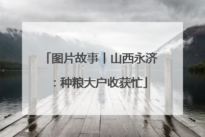 图片故事丨山西永济：种粮大户收获忙