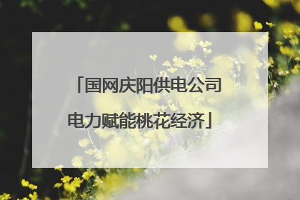 国网庆阳供电公司电力赋能桃花经济