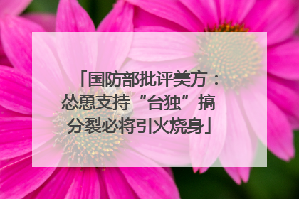 国防部批评美方：怂恿支持“台独”搞分裂必将引火烧身