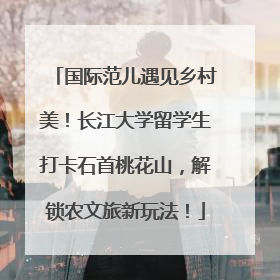 国际范儿遇见乡村美！长江大学留学生打卡石首桃花山，解锁农文旅新玩法！