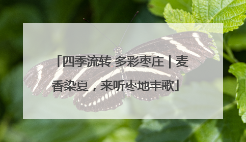 四季流转 多彩枣庄｜麦香染夏，来听枣地丰歌